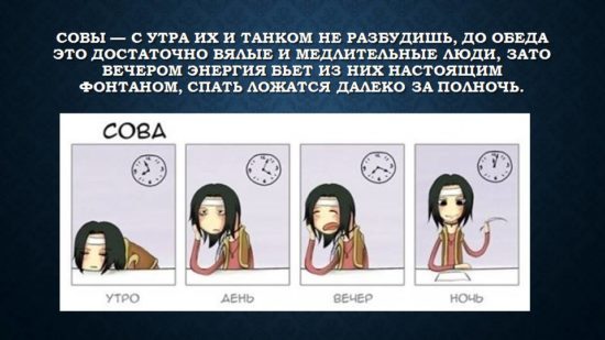 Как стать совой?